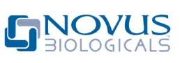 novus