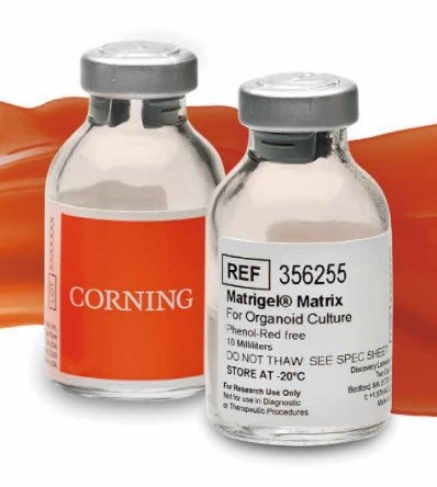 标準Corning Matrigel